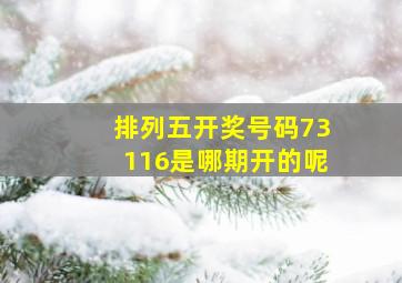 排列五开奖号码73116是哪期开的呢