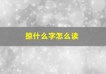 掠什么字怎么读