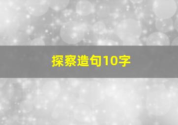 探察造句10字