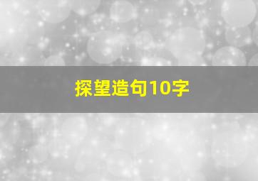 探望造句10字