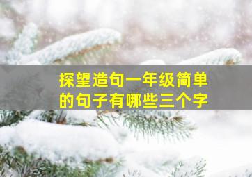 探望造句一年级简单的句子有哪些三个字