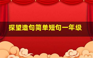 探望造句简单短句一年级