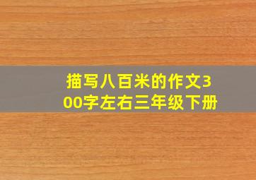 描写八百米的作文300字左右三年级下册