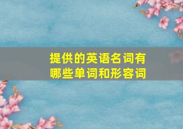 提供的英语名词有哪些单词和形容词