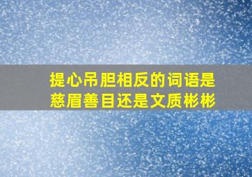 提心吊胆相反的词语是慈眉善目还是文质彬彬