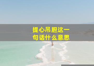 提心吊胆这一句话什么意思