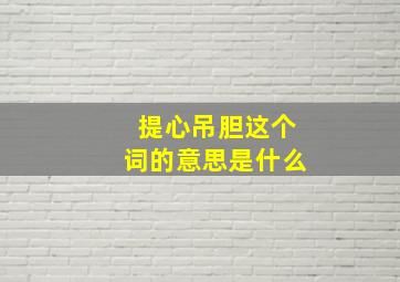 提心吊胆这个词的意思是什么