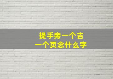 提手旁一个吉一个页念什么字