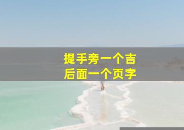 提手旁一个吉后面一个页字