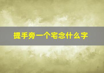 提手旁一个宅念什么字