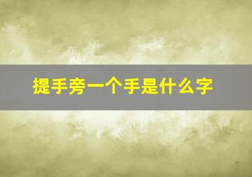 提手旁一个手是什么字