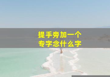 提手旁加一个专字念什么字