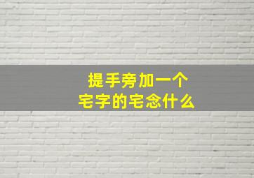 提手旁加一个宅字的宅念什么