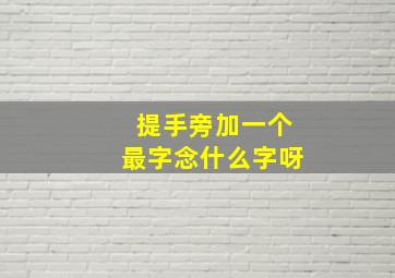 提手旁加一个最字念什么字呀