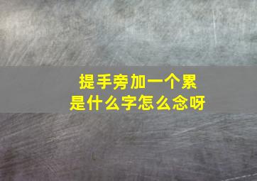 提手旁加一个累是什么字怎么念呀