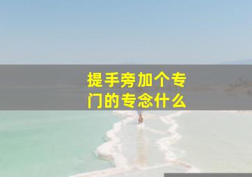 提手旁加个专门的专念什么