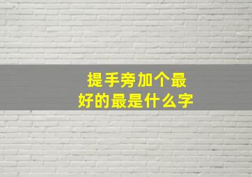 提手旁加个最好的最是什么字