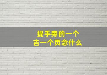 提手旁的一个吉一个页念什么