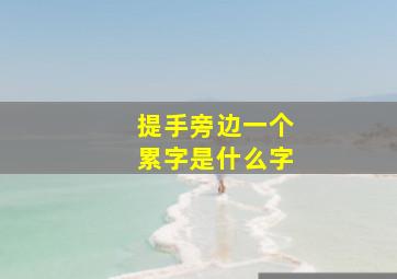 提手旁边一个累字是什么字