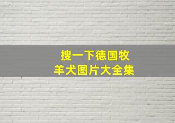 搜一下德国牧羊犬图片大全集