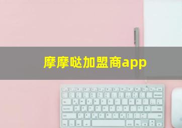 摩摩哒加盟商app