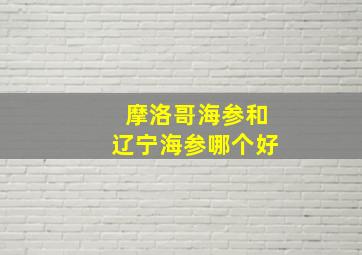 摩洛哥海参和辽宁海参哪个好