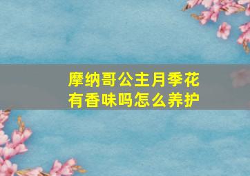 摩纳哥公主月季花有香味吗怎么养护