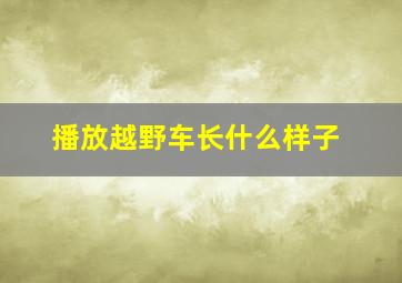 播放越野车长什么样子