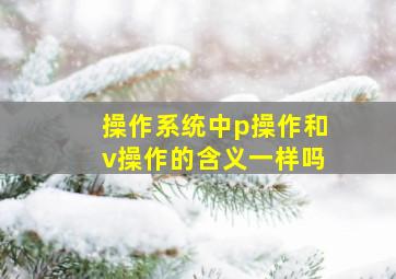 操作系统中p操作和v操作的含义一样吗