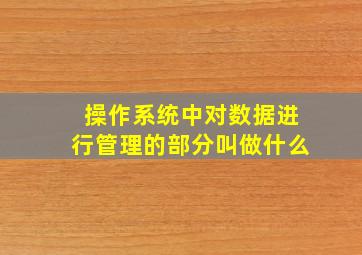 操作系统中对数据进行管理的部分叫做什么