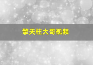 擎天柱大哥视频