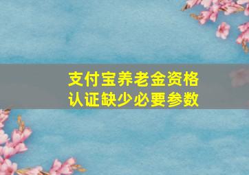 支付宝养老金资格认证缺少必要参数