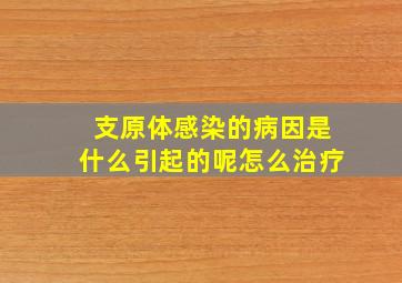 支原体感染的病因是什么引起的呢怎么治疗