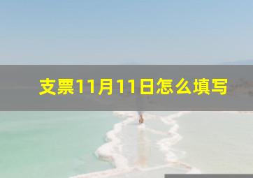 支票11月11日怎么填写