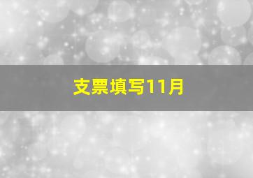 支票填写11月