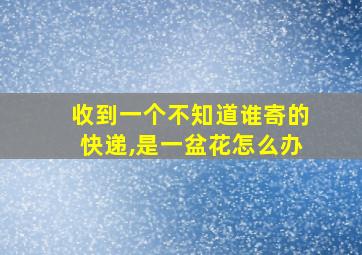 收到一个不知道谁寄的快递,是一盆花怎么办