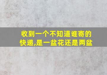 收到一个不知道谁寄的快递,是一盆花还是两盆