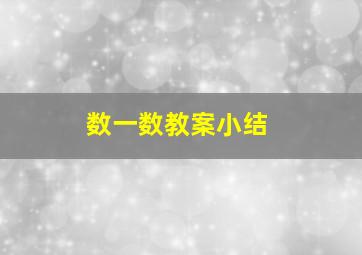 数一数教案小结