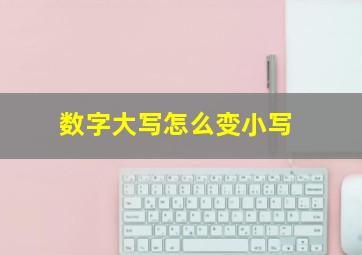 数字大写怎么变小写