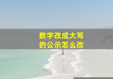 数字改成大写的公示怎么改