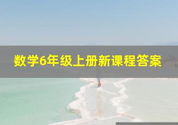 数学6年级上册新课程答案