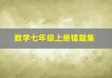 数学七年级上册错题集