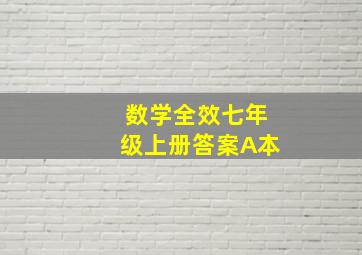 数学全效七年级上册答案A本