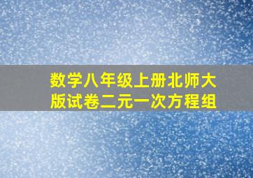 数学八年级上册北师大版试卷二元一次方程组