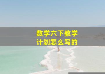 数学六下教学计划怎么写的