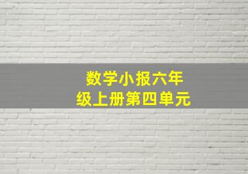 数学小报六年级上册第四单元