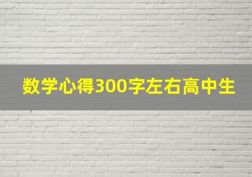 数学心得300字左右高中生