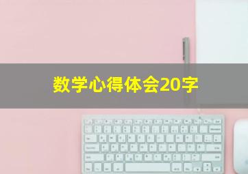 数学心得体会20字