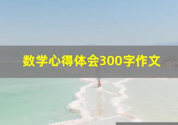 数学心得体会300字作文