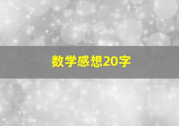 数学感想20字